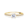 Round Brilliant Hidden Halo Diamond Engagement Ring